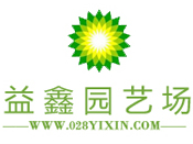  ���ֻ�����վ����